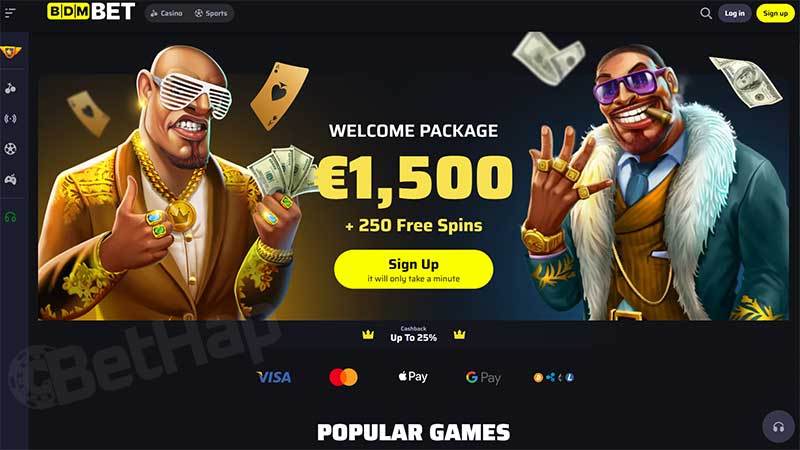 What Type of Casino is BDMBet?