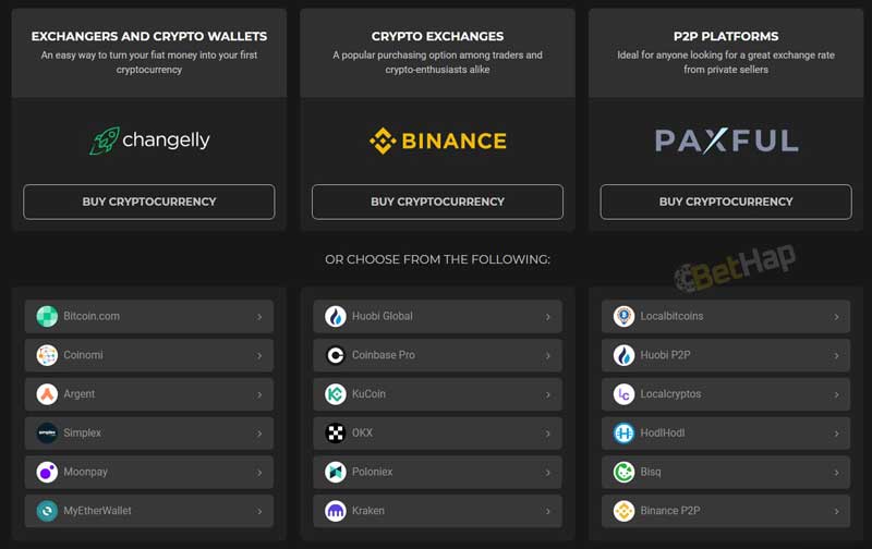 CoinPlay Payment Methods