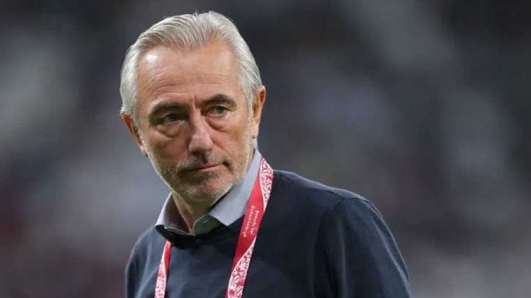 Bert van Marwijk