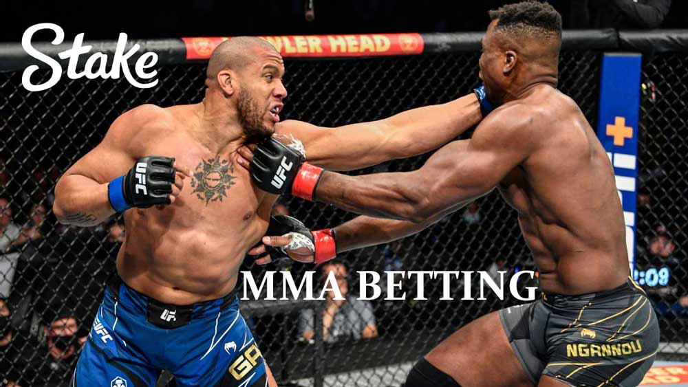 Stake MMA Betting - Review