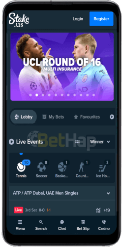 Stake Casino Mobile Version