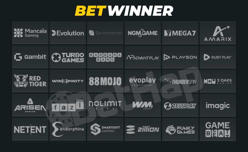 Betwinner Software Providers