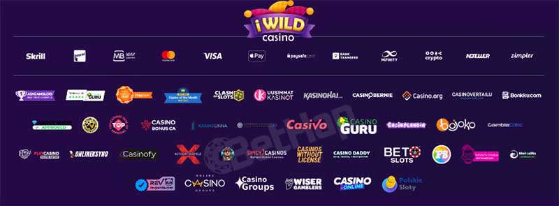 iWildCasino Online Casino Payments