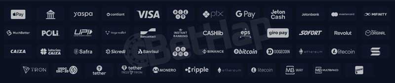 Kryptosino Payment Options