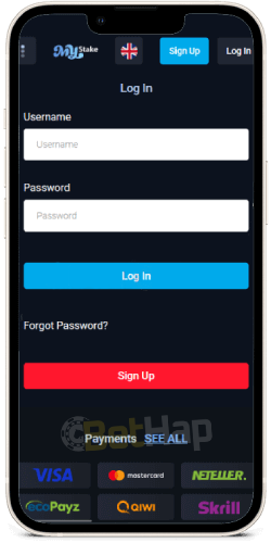 MyStake Mobile Experience
