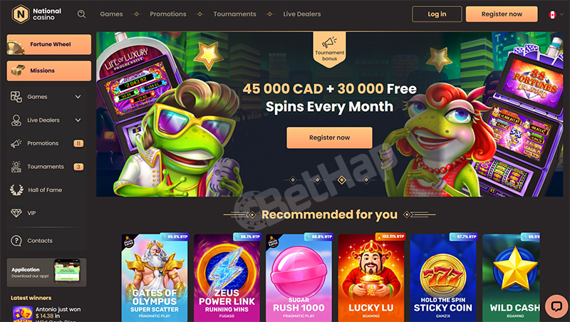 Nationalcasino Design and Interface