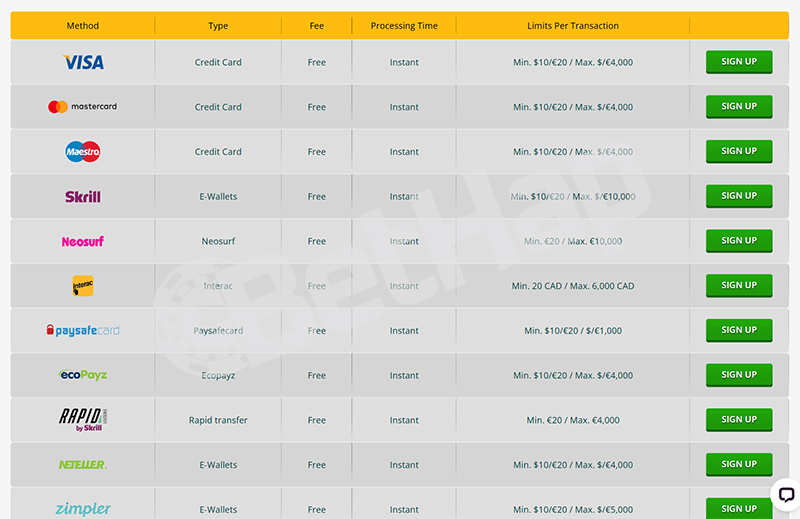 Playamo Payment Methods