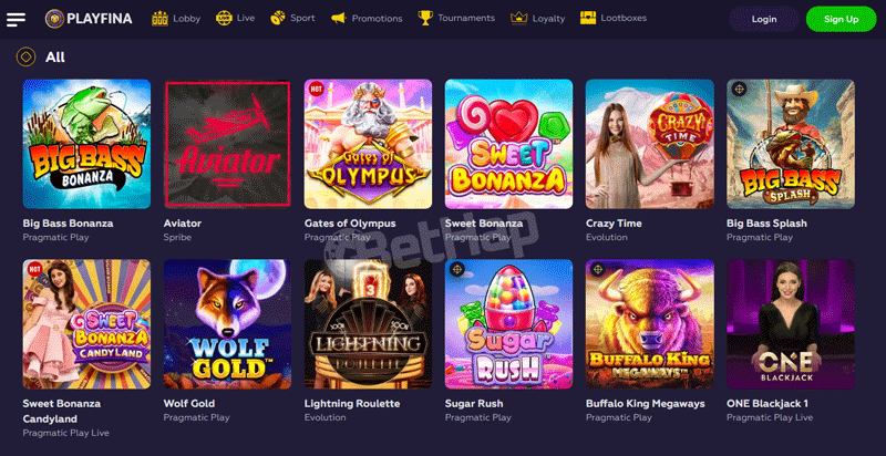 Playfina Casino Section