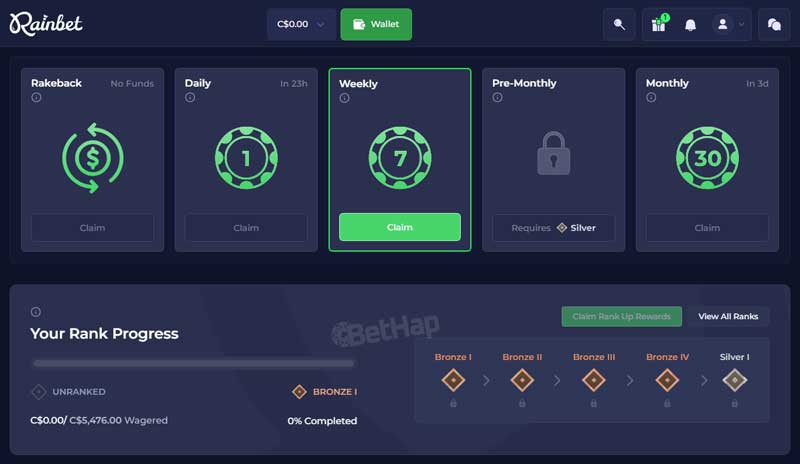 Rainbet promo code interface