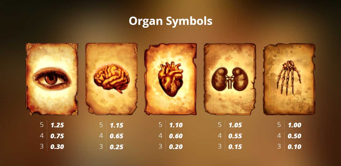 Symbols and Payouts at Mental Slot Review